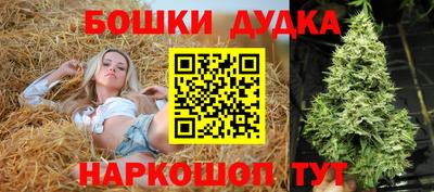индика Наро-Фоминск